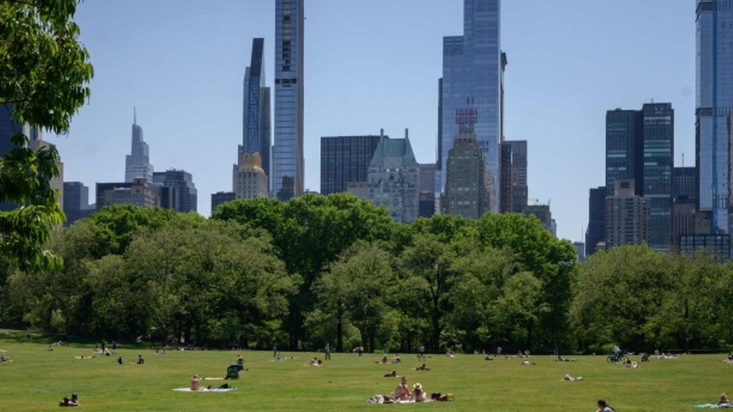 Central Park mit Manhattan Skyline