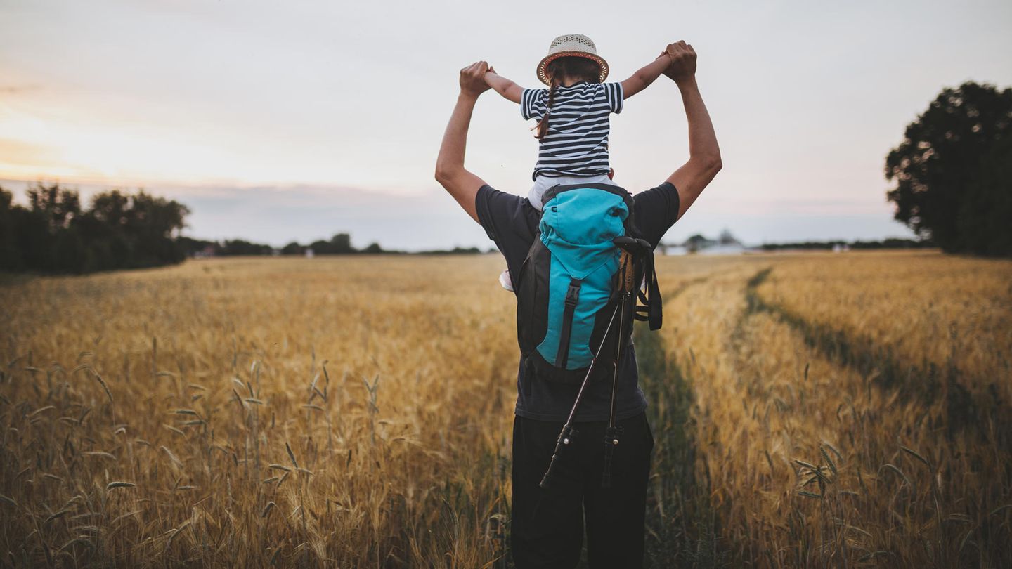 Vater trägt junge Tochter auf den Schultern durch ein Feld