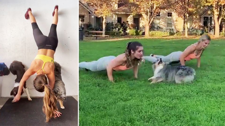 Tierischer Trainingspartner Crossfit mit Hund