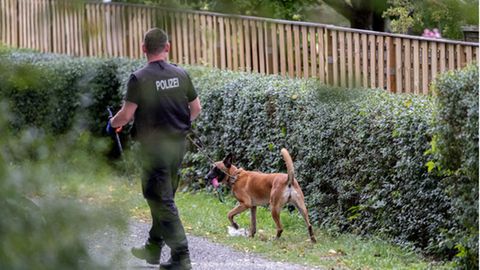 Ein Polizeibeamter mit einem Hund durchsucht eine Kleingarten-Parzelle