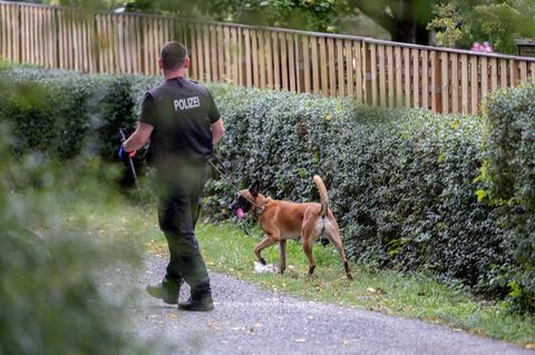 Ein Polizeibeamter mit einem Hund durchsucht eine Kleingarten-Parzelle