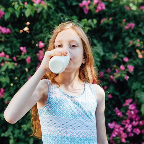 Pflanzenmilch – nachhaltig und gesund?