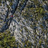 Nicht nur Pflanzen müssen rund um den Watzmann wahre Hochgebirgsspezialisten sein, auch Bergsteigern wird in dem felsigen Gelände viel abverlangt.