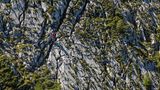 Nicht nur Pflanzen müssen rund um den Watzmann wahre Hochgebirgsspezialisten sein, auch Bergsteigern wird in dem felsigen Gelände viel abverlangt.