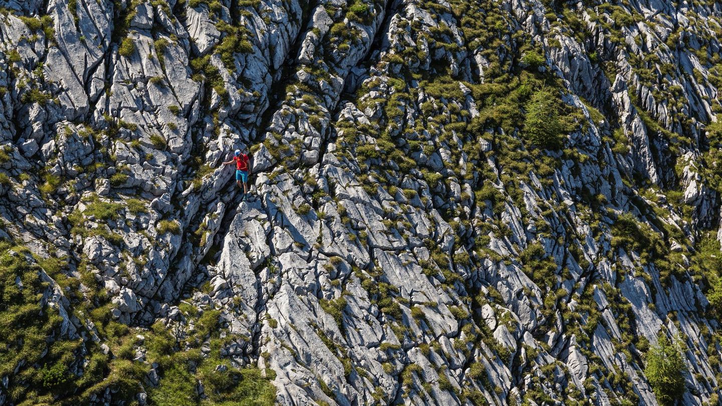Nicht nur Pflanzen müssen rund um den Watzmann wahre Hochgebirgsspezialisten sein, auch Bergsteigern wird in dem felsigen Gelände viel abverlangt.