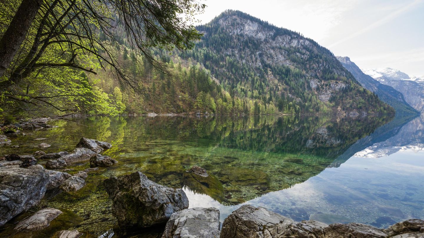Sind beide unter Schutz gestellt: der Watzmann und der Königssee. Im kristallklaren Wasser spiegeln sich die Berghänge des östlichen Hagengebirges gestochen scharf. Die tiefste Stelle des Sees misst rund 190 Meter.