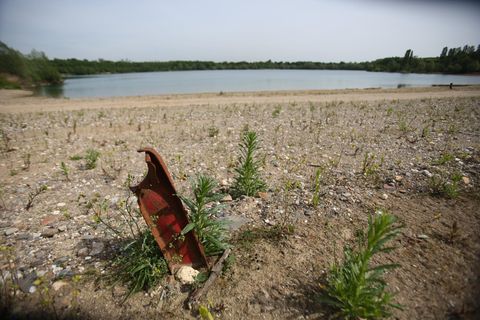 Ufer des Rather Sees in Köln.