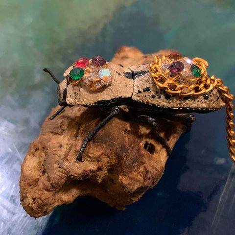 Der Makech-Käfer wird in Yucatán als Schmuck getragen