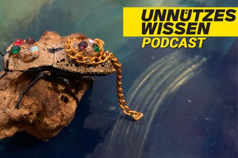 Der Makech-Käfer wird in Yucatán als Schmuck getragen