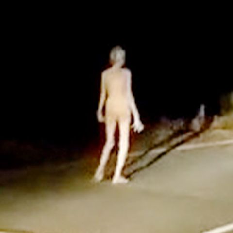 Aliens gelandet? Unheimliches Wesen am Straßenrand macht Motorradfahrern Angst