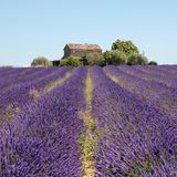 Frankreich  IKultureinrichtungen, Geschäfte und auch die Außenbereiche von Restaurants sind wieder geöffnet und dürfen unter Auflagen besucht werden. Nachts gilt noch immer eine Ausgangssperre. In der kommenden Woche soll sie auf 23.00 Uhr geschoben werden, dann können auch die Innenbereiche von Cafés und Restaurants wieder aufmachen. Reisen im Land sind erlaubt, auch Hotels haben geöffnet. Wer aus Europa nach Frankreich einreist, braucht in der Regel einen negativen PCR-Test, der nicht älter als 72 Stunden ist. Zusätzlich muss eine Erklärung ausgefüllt werden, in der Reisende versichern, keine Covid-19-Symptome zu haben.
