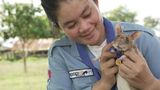 Kambodscha: Landminen-Spürrate Magawa