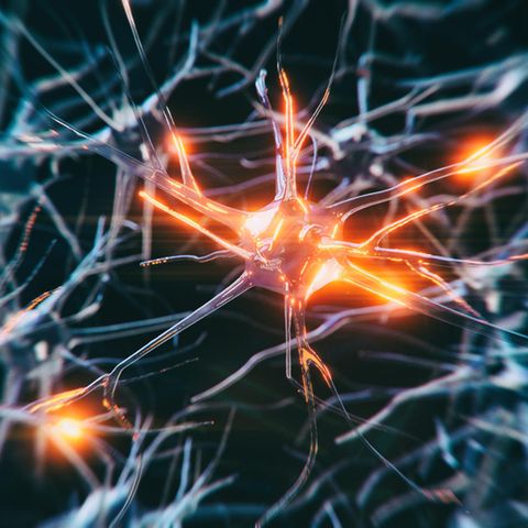 Alzheimer Medikament Aducanumab: Nervenzellen als 3D-Grafik