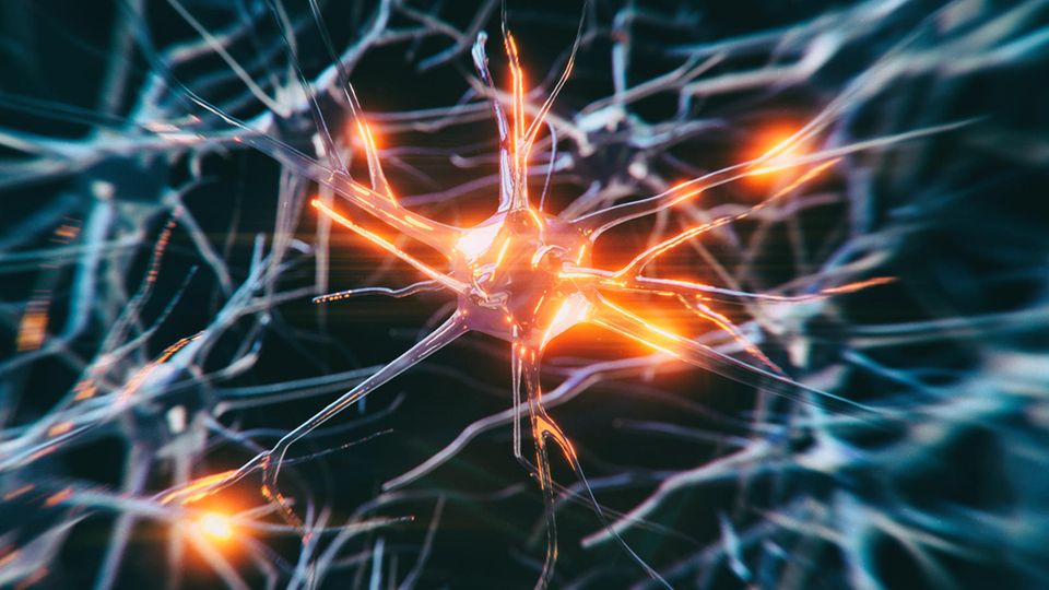 Alzheimer Medikament Aducanumab: Nervenzellen als 3D-Grafik