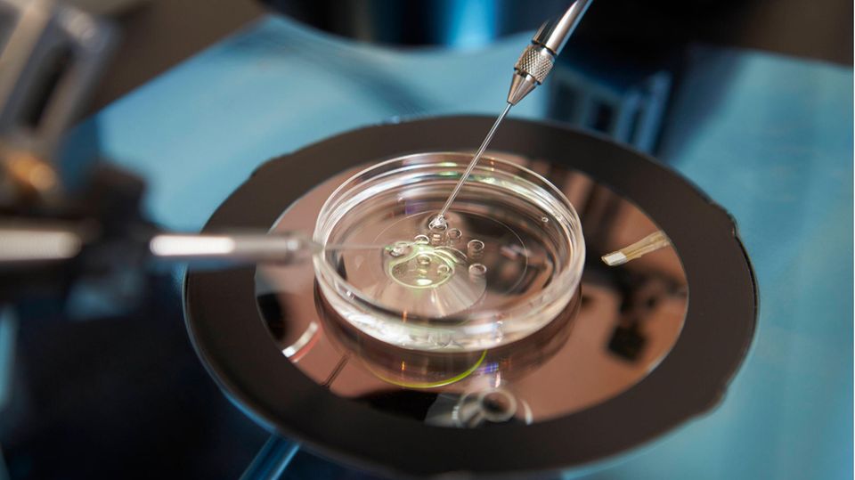 Bioethik-Gesetz : In Frankreich haben bald alle Frauen einen Anspruch auf eine künstliche Befruchtung vom Staat In Frankreich haben bald alle Frauen einen Anspruch auf eine künstliche Befruchtung vom Staat