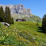 Ortstockhaus, Braunwald GL