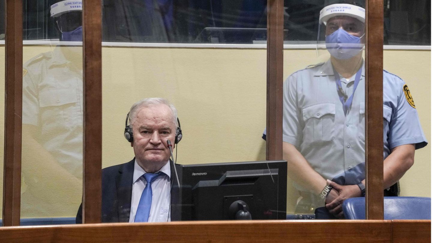 Der serbische Ex-General Ratko Mladic