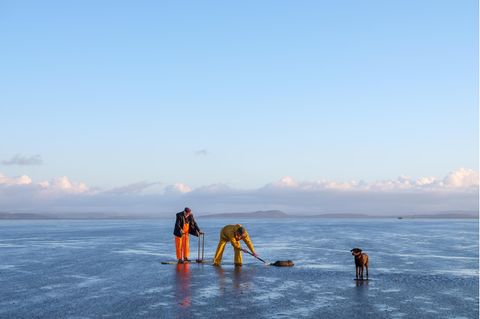 John Wilson (l.) und sein Sohn Michael auf Muschelsuche im Watt von Morecambe Bay