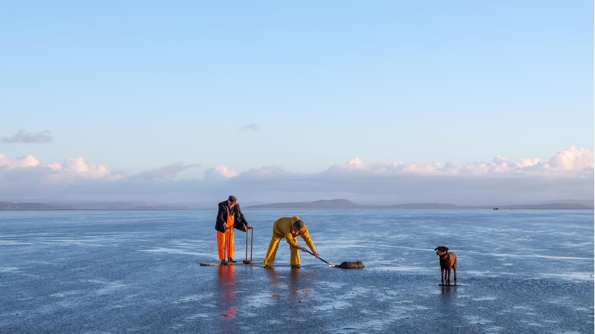 John Wilson (l.) und sein Sohn Michael auf Muschelsuche im Watt von Morecambe Bay