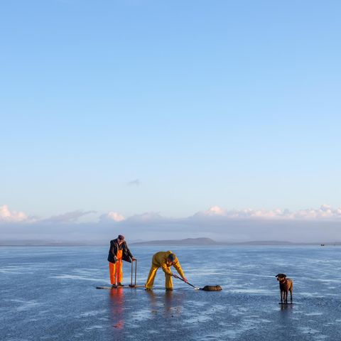 John Wilson (l.) und sein Sohn Michael auf Muschelsuche im Watt von Morecambe Bay