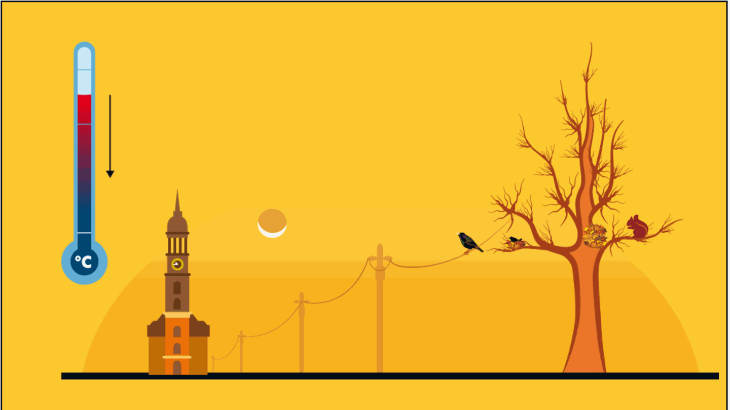 Sonnenfinsternis