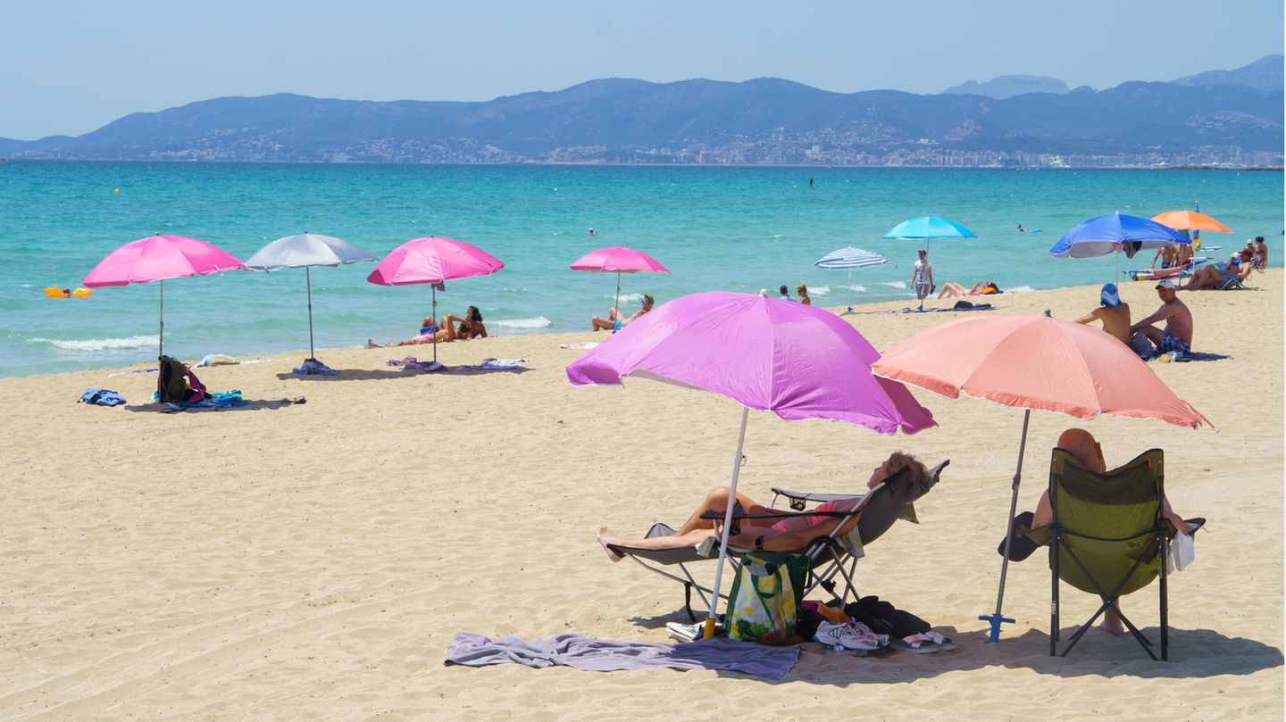 Spanien Urlaub Vorbei Riesen Kakerlake Plage Was Urlauber Jetzt Nicht Verpassen Dürfen - 7y1z93o