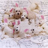 Bevor Prinzessin Diana die Tasche berühmt machte, hieß die "Lady Dior" noch "Chouchou". Aus dem Französischen übersetzt, heißt der Begriff so viel wie Liebling oder Lieblingstier. Daran angelehnt inszenierte Star-Fotograf Bruce Weber die Tasche mit vielen Kuscheltieren.