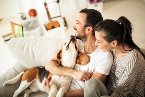 Paar sitzt auf dem Sofa und spielt mit einem Hund
