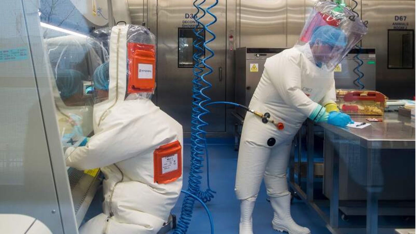 Zwei Forscher arbeiten in einem Labor