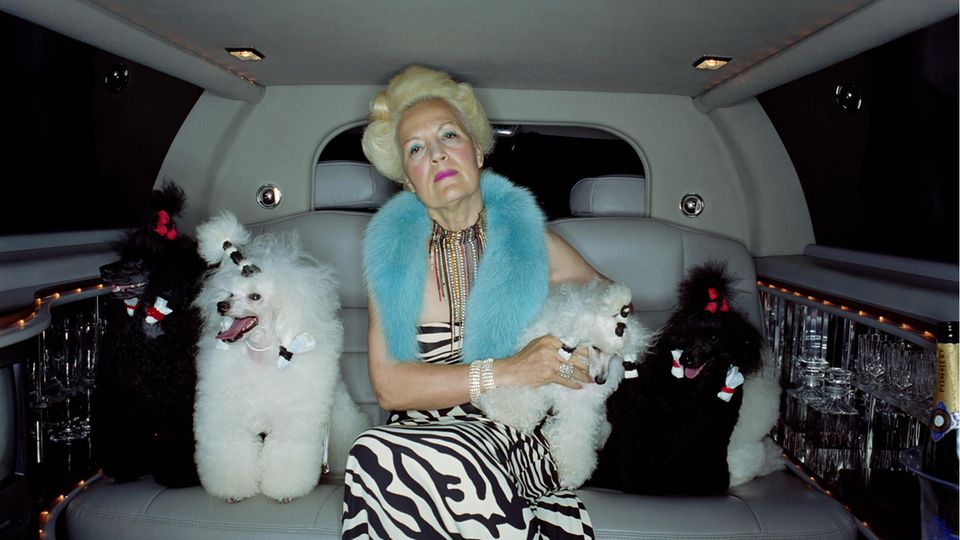 Eine reiche Frau sitzt mit ihren Pudeln auf dem Rücksitz einer Stretch-Limousine