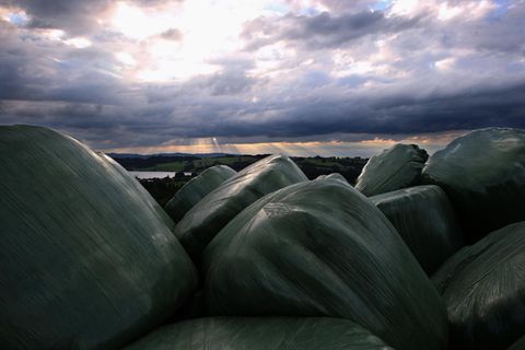Heuballen liegen eingepackt auf einem Feld in Deutschland.
