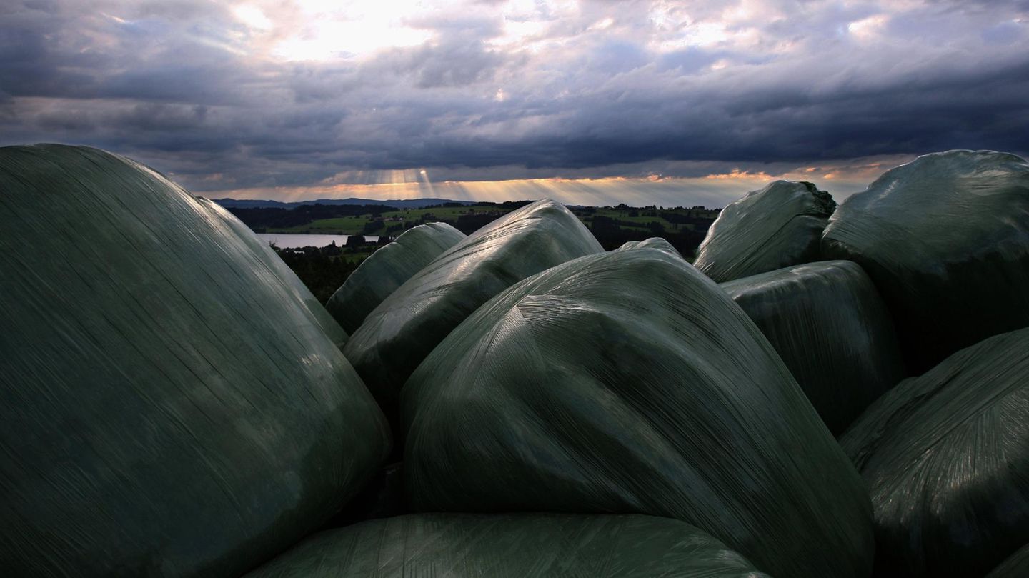 Heuballen liegen eingepackt auf einem Feld in Deutschland.