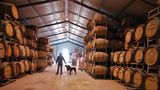 Neben seinem in die Felsen getriebenen Weinkeller altert der vergorene Traubensaft bei Maxwell Wines auch im temperierten Wellblechhangar, wie es bei den meisten australischen Weingütern üblich ist - seine Jagdhunde begleiten ihn stets auf dem Rundgang