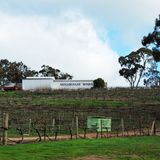 Skillogalee Wines