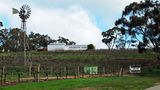 Skillogalee Wines