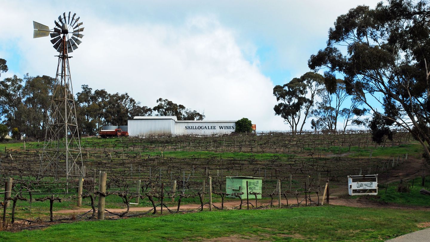 Skillogalee Wines