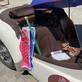 Oldtimerrallye Stella Alpina 201