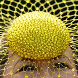 Auch hübsch: ein gelbes Gitter vor den Augen