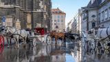 Corona Regeln in Österreich. Im Bild zu sehen ist ein Fiaker in der Hauptstadt Wien