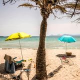 Corona-Regeln: Im Bild zu sehen ist Mallorca, das Lieblingsziel der Deutschen in Spanien