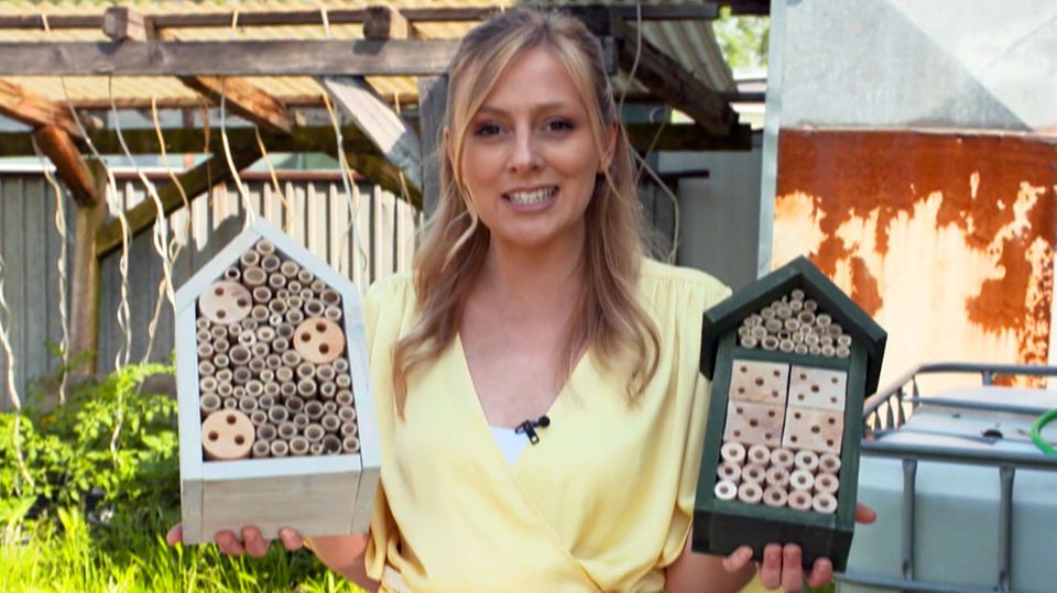 Mit Insektenhotels Bienen retten Mit Insektenhotels Bienen retten
