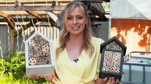 Mit Insektenhotels Bienen retten