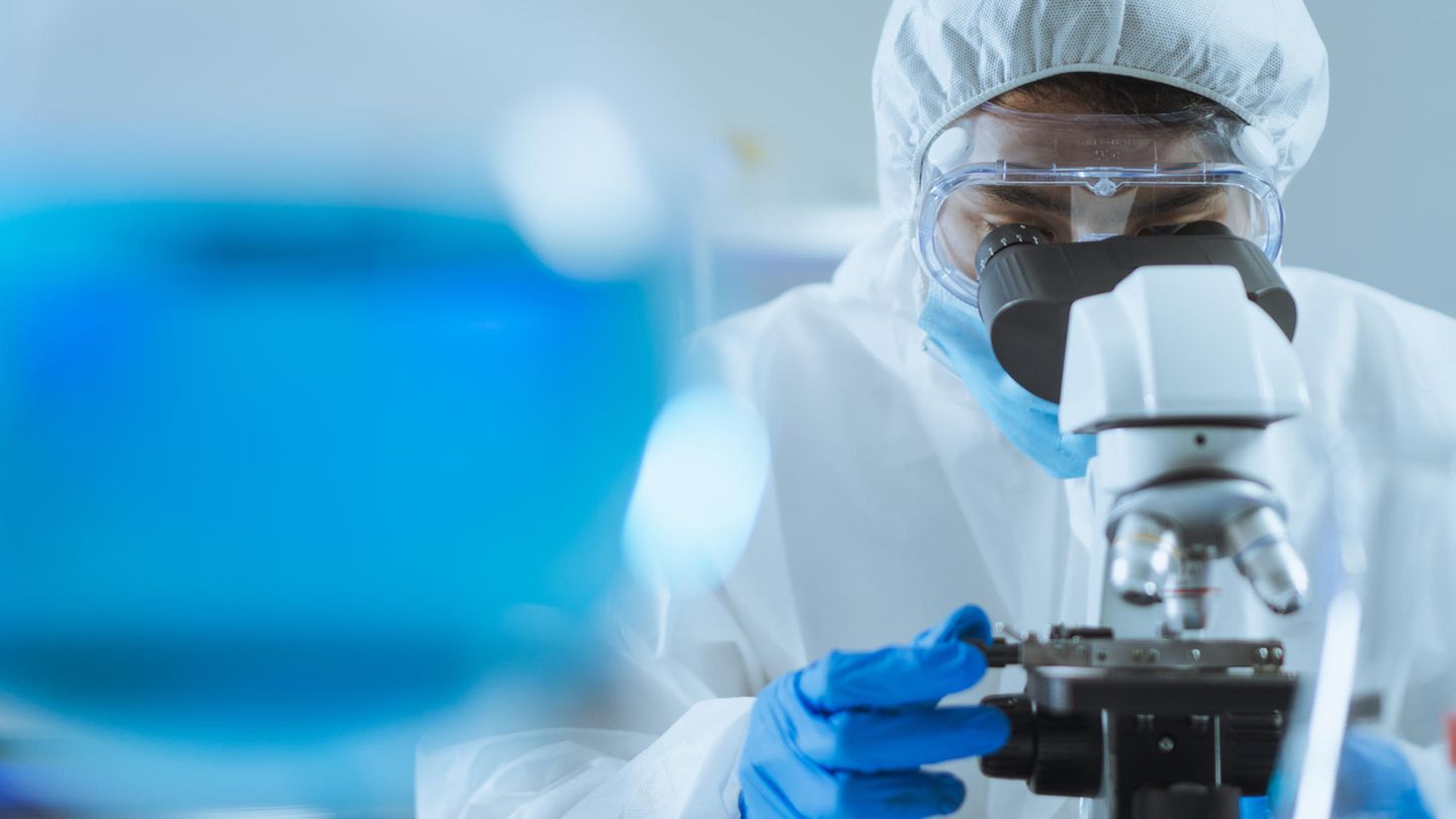 "Wir müssen vor Experimenten gut abwägen: Wie groß ist der Nutzen und wie groß sind die Risiken solcher Versuche?"