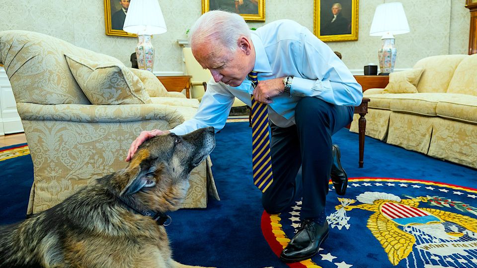 Champ, der First Dog der Bidens ist tot – so lebt sein Andenken weiter
