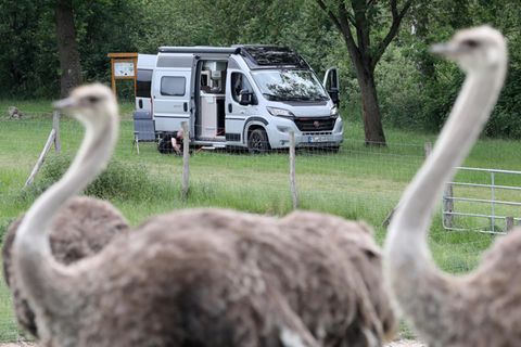 Immer mehr Caravan-Besitzer Angebote von Bauerhöfen, Weingütern oder Tierfarmen, um dort kurz Halt zu machen