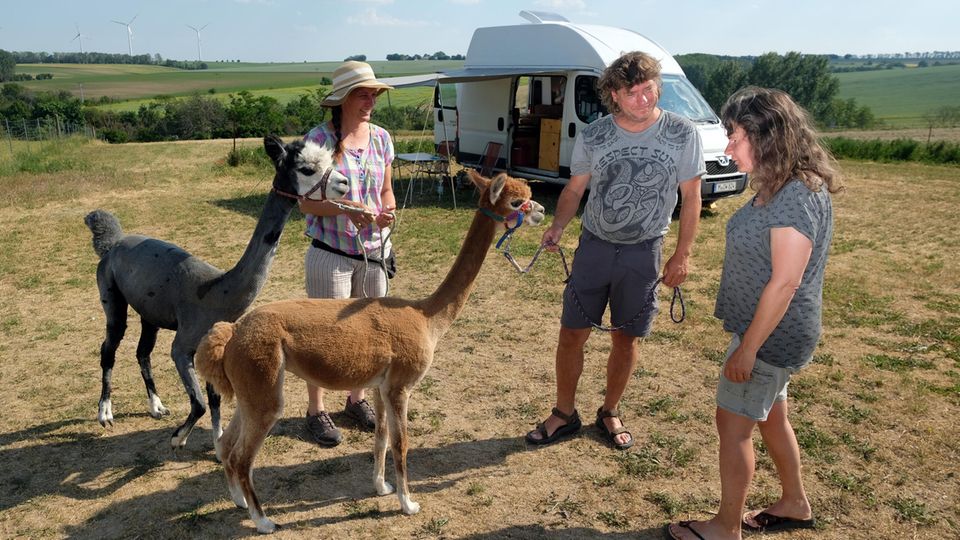 Landvergnügen: Hier ist organisiertes Wildcamping erlaubt: auf einer Wiese vom Reiterhof Gut Bösenburg, wo es auch Alpakas gibt. Hier ist organisiertes Wildcamping erlaubt: auf einer Wiese vom Reiterhof Gut Bösenburg, wo es auch Alpakas gibt.