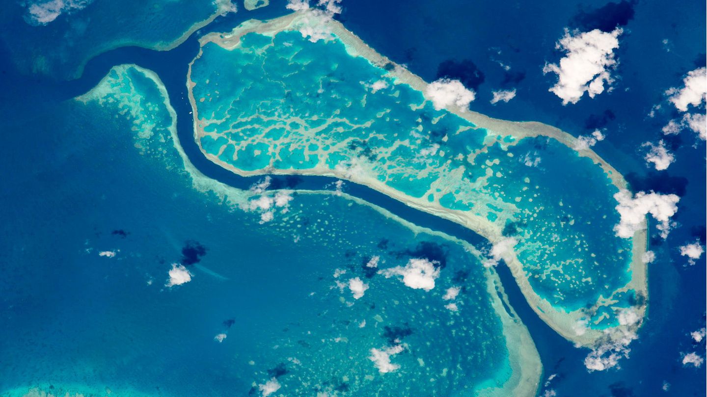 Dieses Foto des Great Barrier Reef wurde 2015 von der Internationalen Raumstation ISS aus dem All gemacht. Das einzigartige Ökosysten ist seit 40 Jahren Unesco-Weltnaturerbe.
