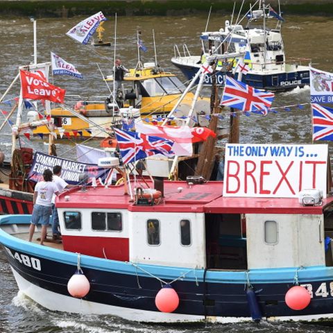 Boote werben für Brexit