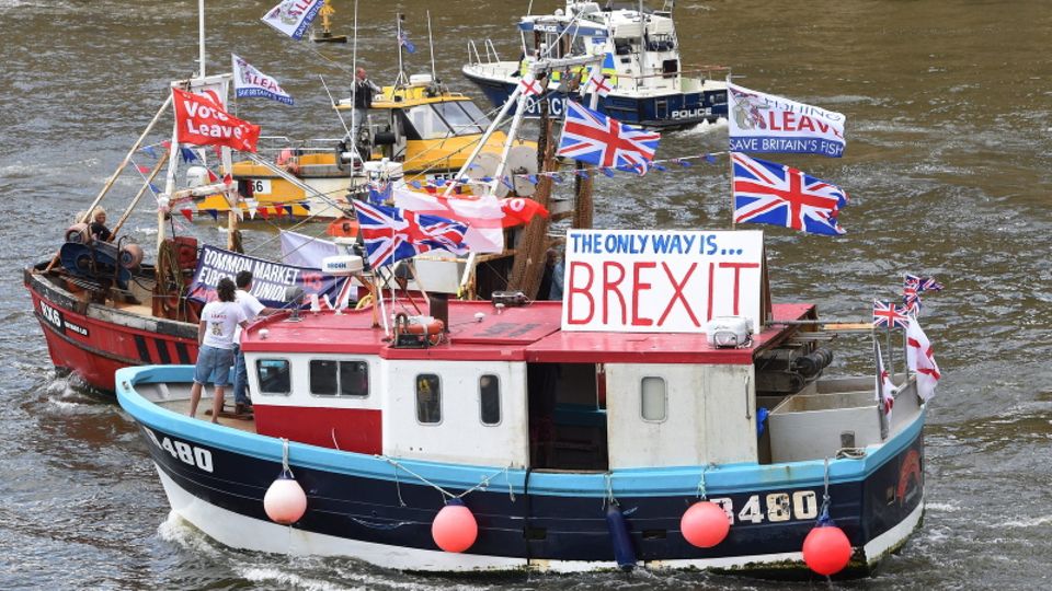 Boote werben für Brexit