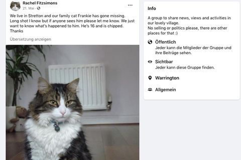 Familie glaubte, ihr Kater sei tot – doch dann spazierte er zur Hintertür hinein